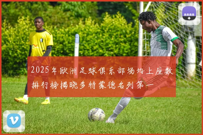 2025年欧洲足球俱乐部场均上座数排行榜揭晓多特蒙德名列第一