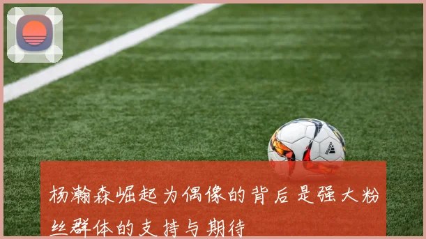 杨瀚森崛起为偶像的背后是强大粉丝群体的支持与期待