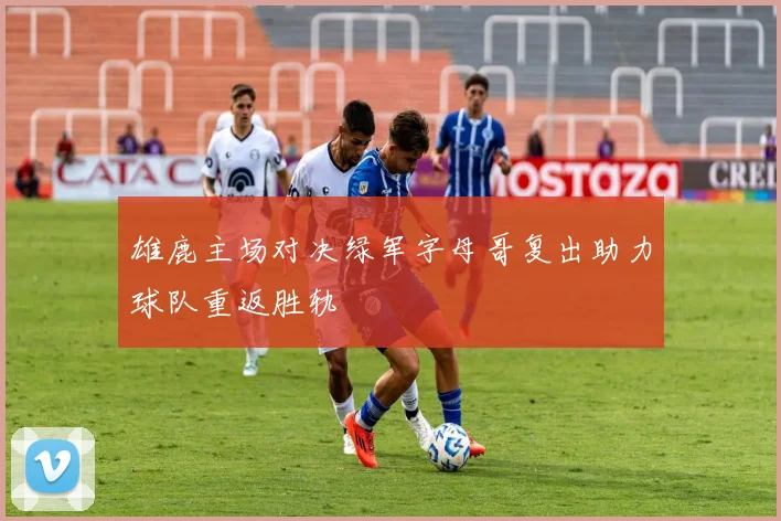 雄鹿主场对决绿军字母哥复出助力球队重返胜轨